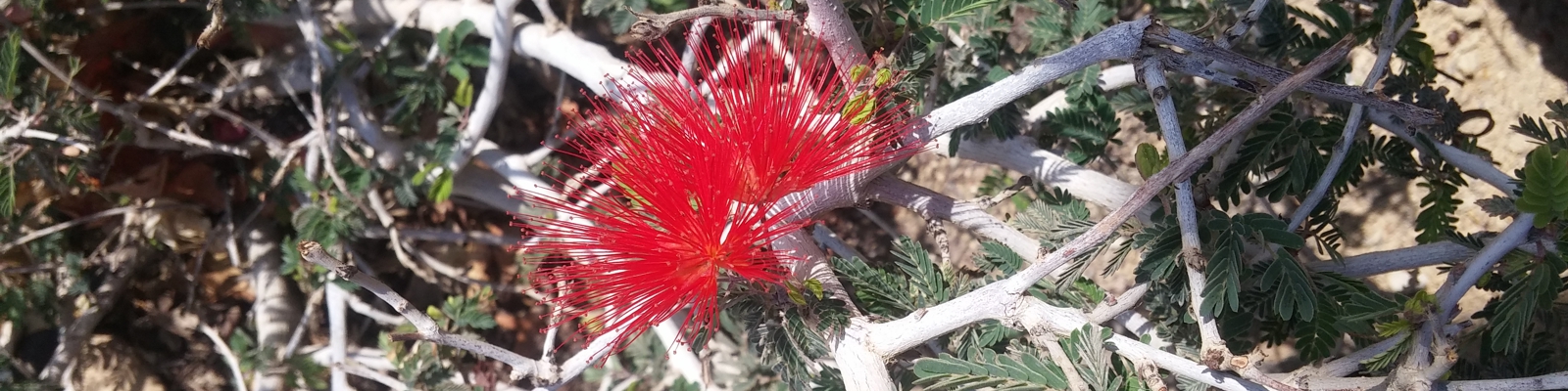 20180219_115632web.jpg
